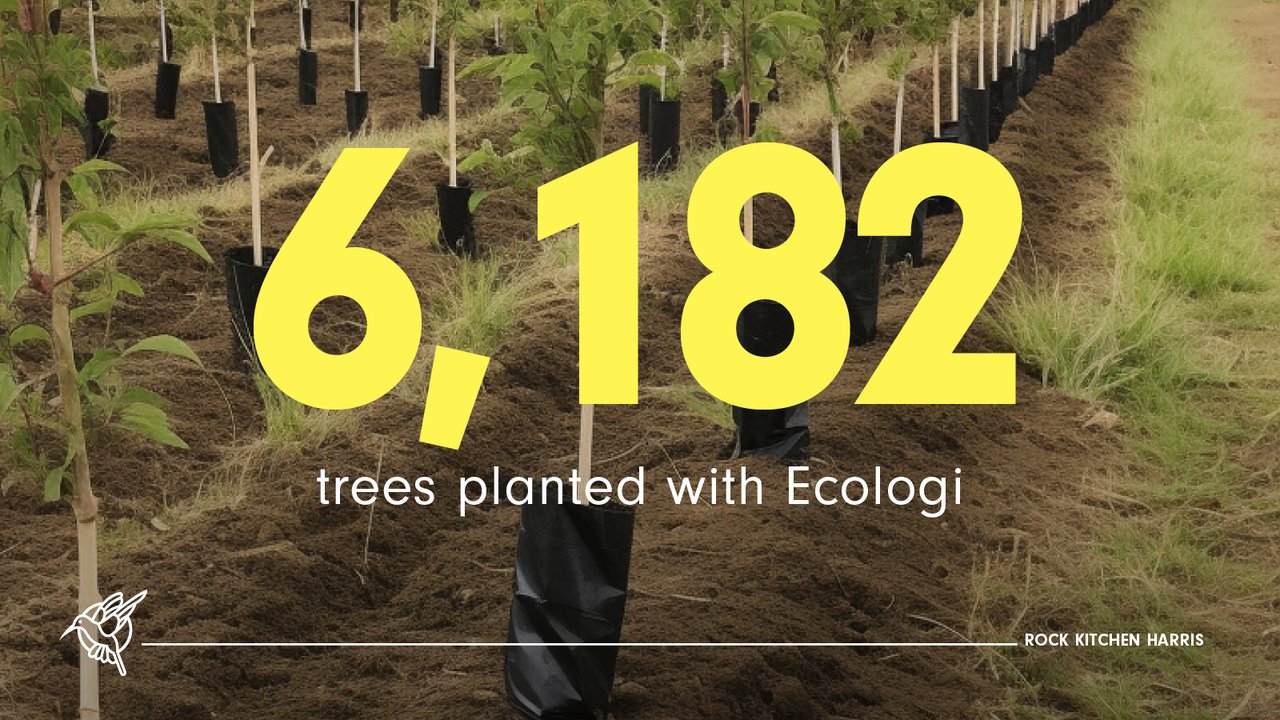 6,182 trees planted with Ecologi