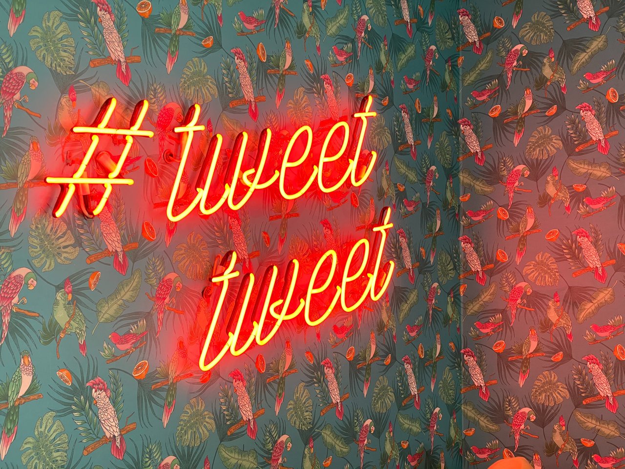 An orange neon sign on a wallpapered wall. The wallpaper is blue with drawings of birds, and the neon sign says '#tweettweet' in cursive lettering.