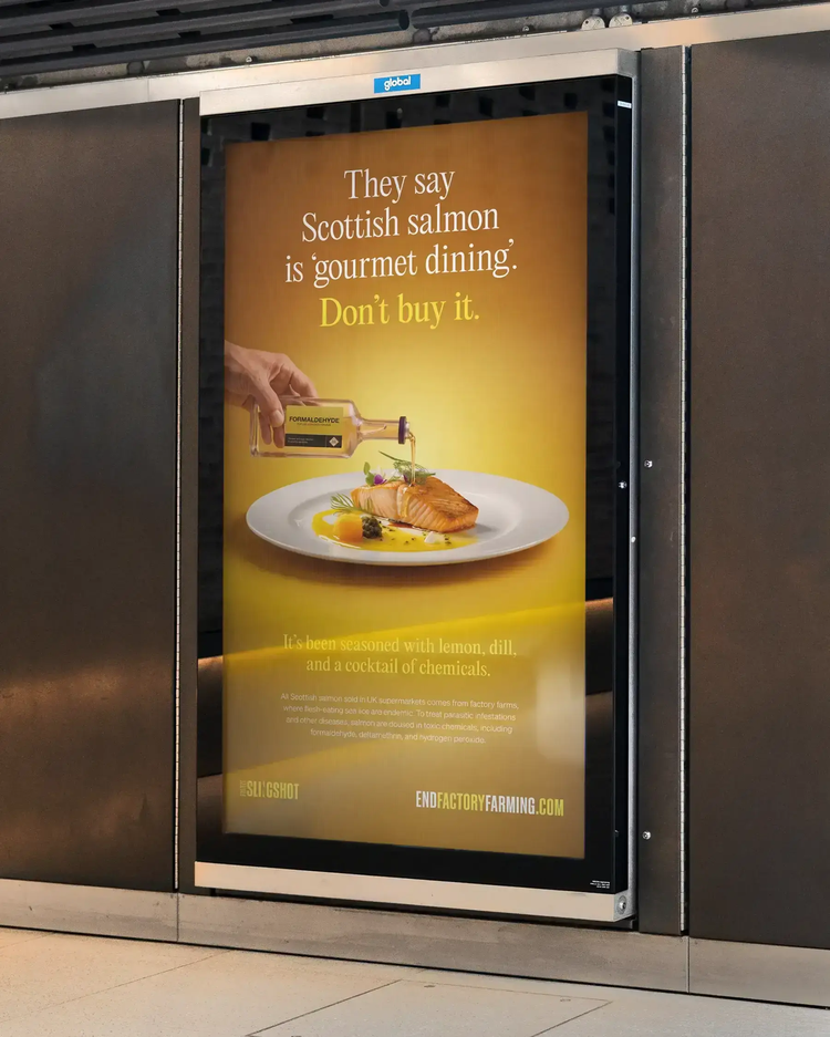 Project Slingshot's poster on the London Underground, showing a rotting fish to demonstrate the toxins used in salmon farming